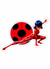 ladybug3